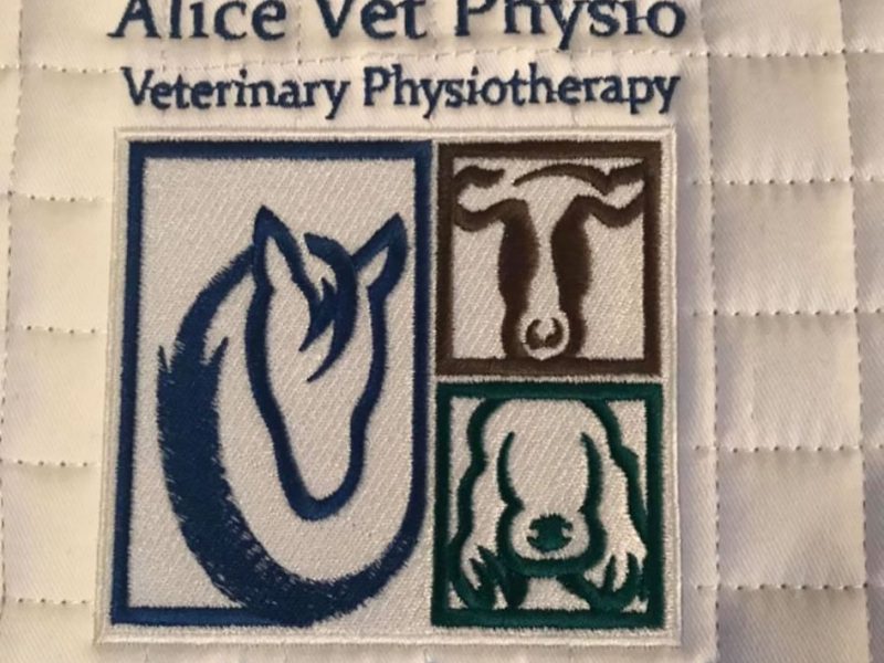 alice-vet-physio